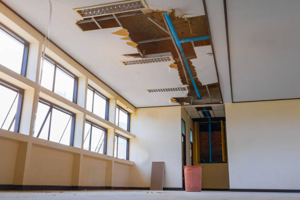 Trusted WA Water damage restoration Experts