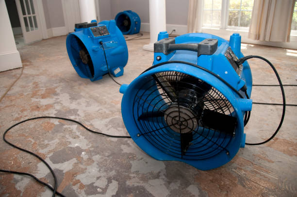Best Water damage restoration near me  in Orchards, WA